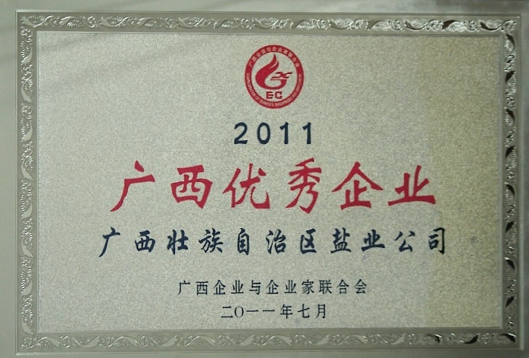 2011廣西優秀企業